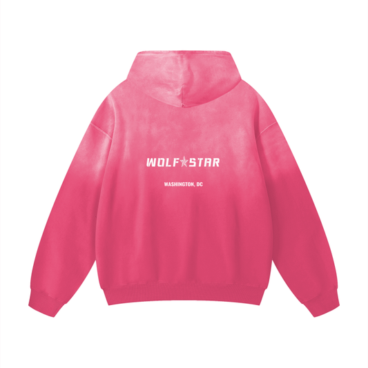 WASHINGTON, DC USA HOODIES